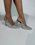 Talons Shine